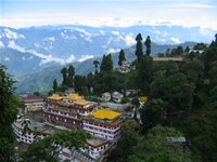 Darjeeling Exotica